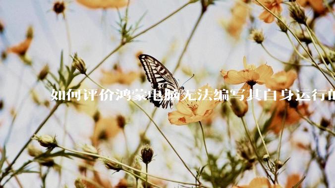 如何评价鸿蒙电脑无法编写其自身运行的程序？