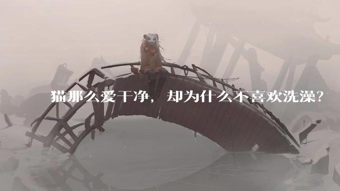 猫那么爱干净，却为什么不喜欢洗澡？